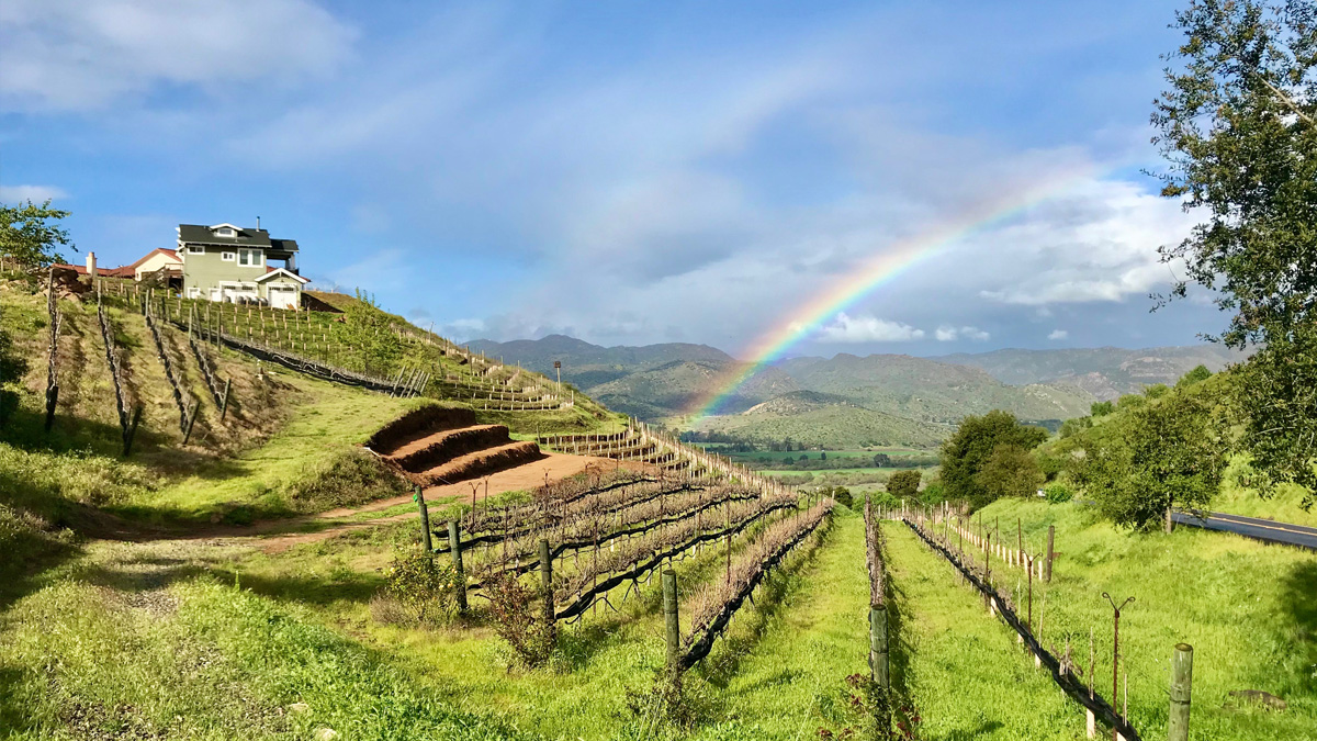 Highland Valley Vineyards Donates Proceeds to San Diego Food Bank