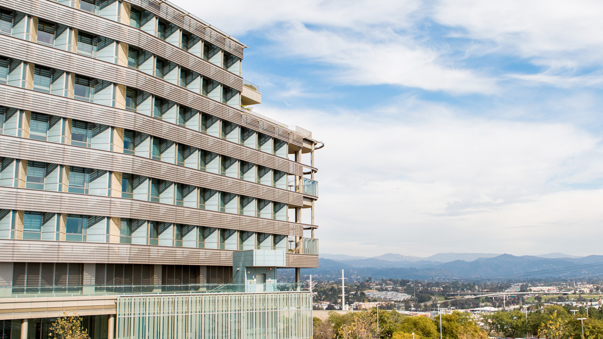 COVID-19 Recovery along the 78 Corridor