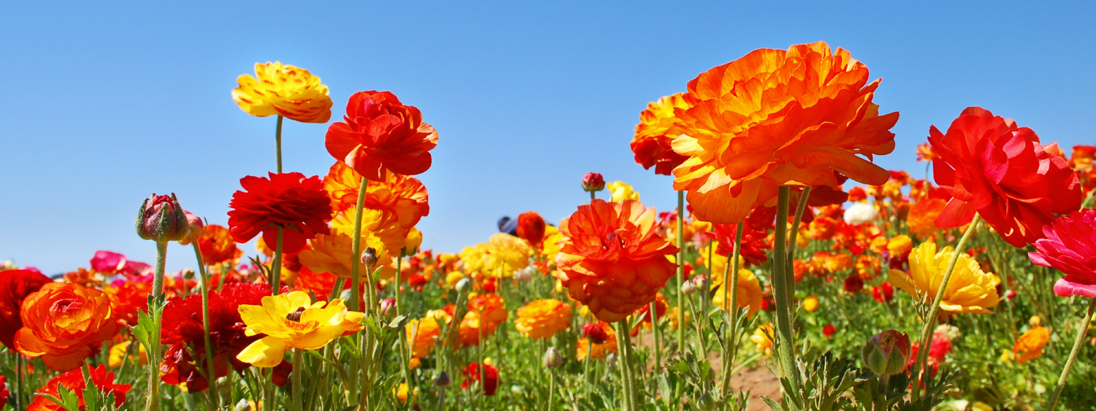 Monthly Update: March 2021