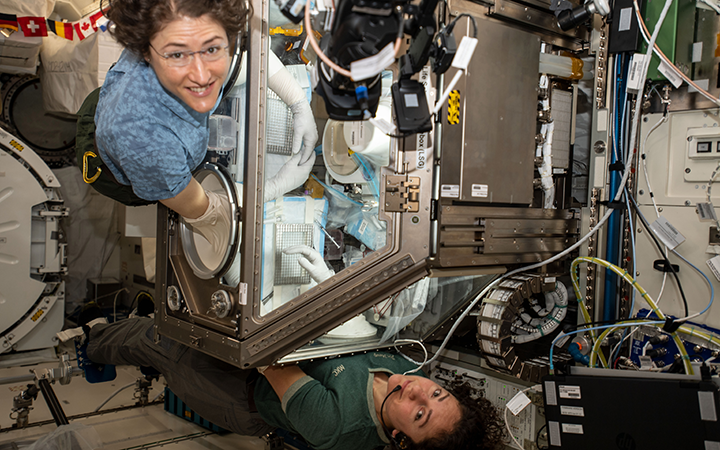 Fast Five: North County business wins from 2020