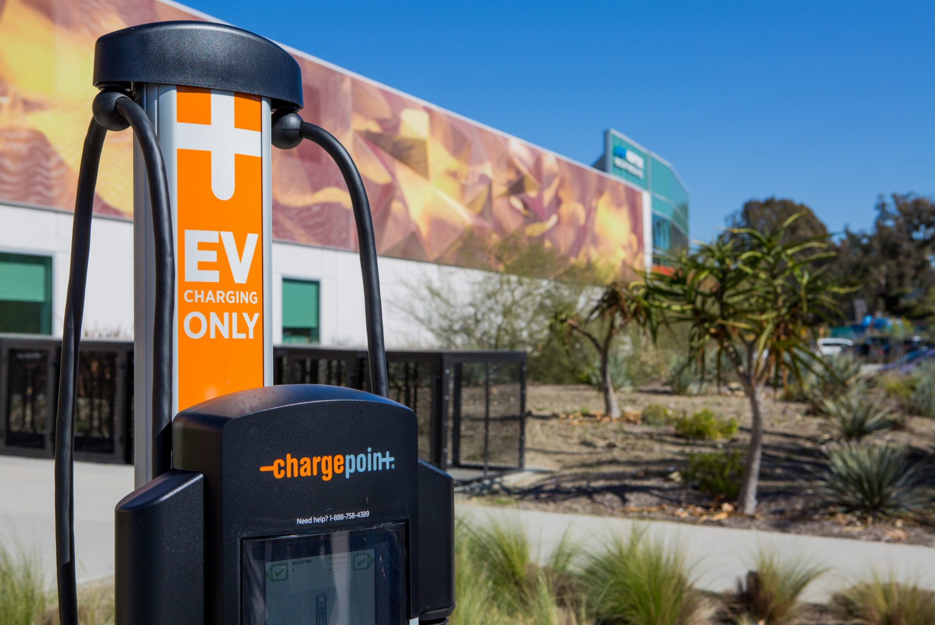 Earth Month: North County’s green initiatives