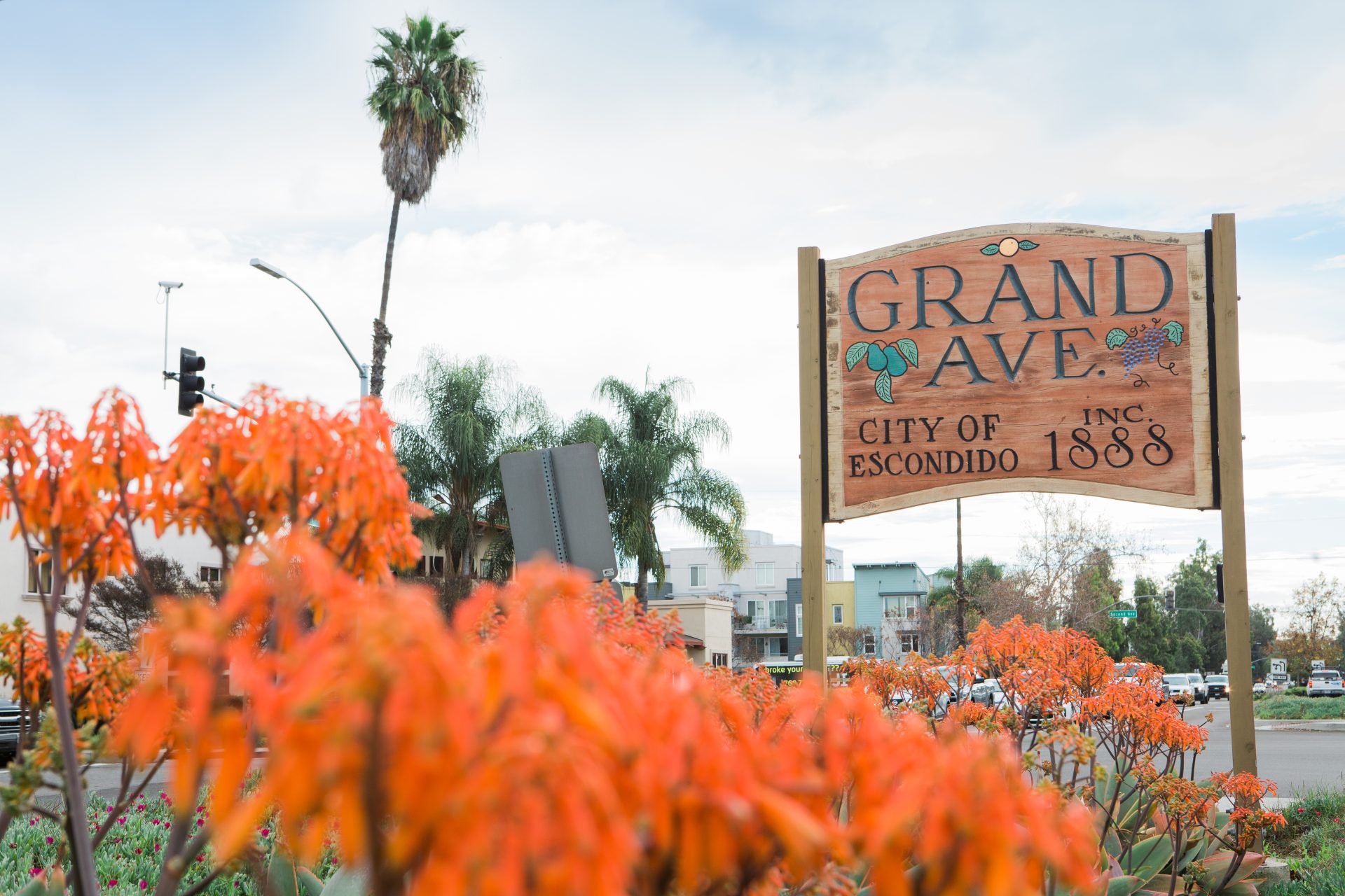 Monthly Update: October 2021